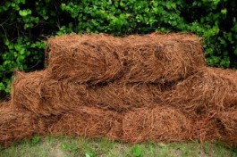 pine-straw-bales