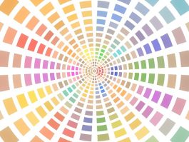 Members-Show-Focus-on-Fiber-Color-Wheel