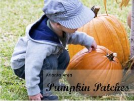 Atlanta-Area-Pumpkin-Patches