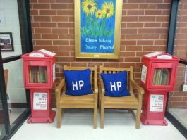 mini-libraries-in-school