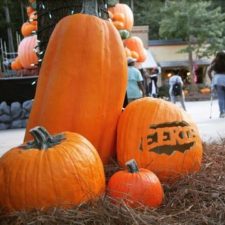Pumpkin Festival at Stone Mountain Park