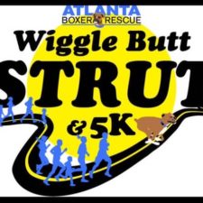 Atlanta Boxer Rescue Wiggle Butt Strut