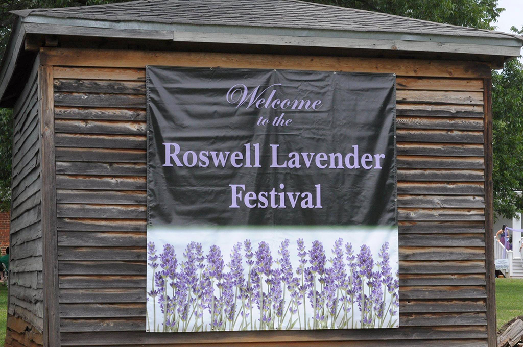 Roswell Lavender Festival The Aha! Connection