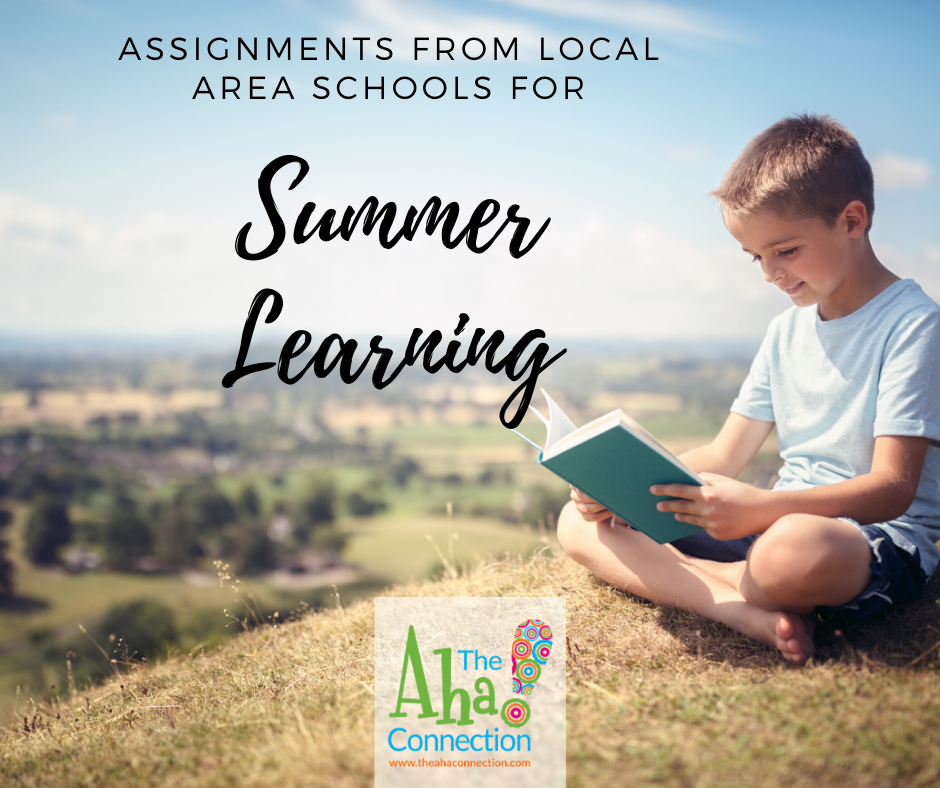 summer assignments dunwoody high school