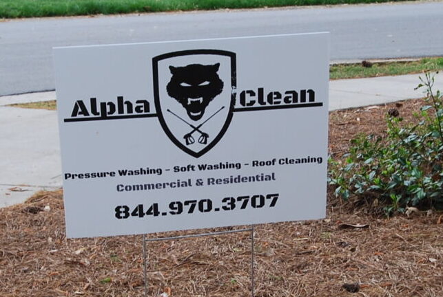 Alpha pressure online washing