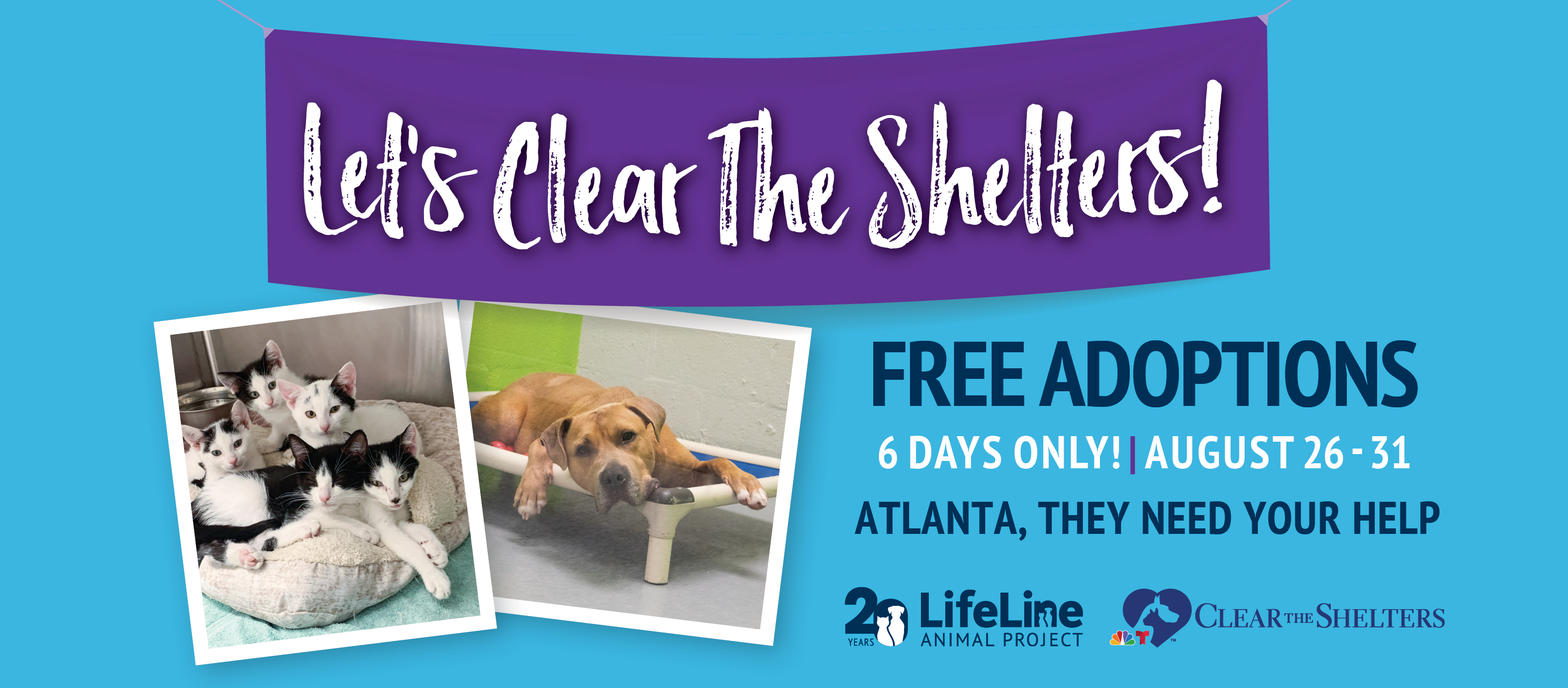 Let’s Clear The Shelters! It's FREE. The Aha! Connection