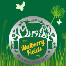 Mulberry Fields Gone Wylde 2024 25th Anniversary