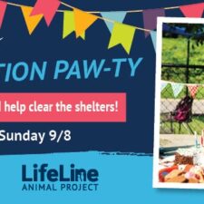 Clear the Shelters Weekend Event