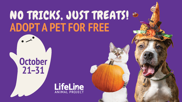 October Free Adoptions