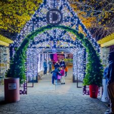 Holiday Lights at BrookRun