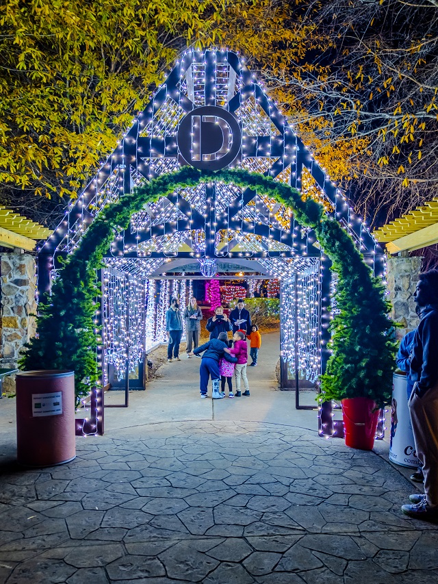 Holiday Lights at BrookRun